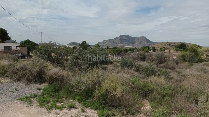 Foto 25e1a583-7de8-4b18-86bc-fed92a8454d0. Terreny residencial a Agost