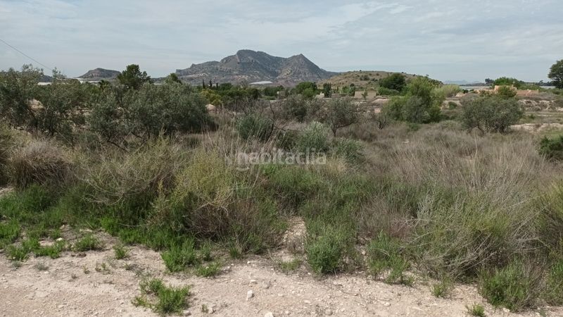 Foto 816bd11d-0197-4305-a4d2-fdc5e19cb2b1. Terreny residencial a Agost