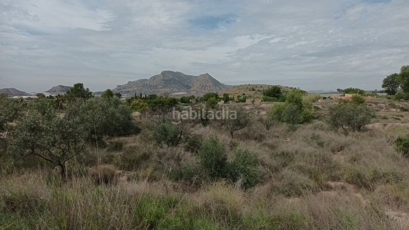 Foto c6c3517d-ca19-4236-89ba-0717a956e2c3. Terreny residencial a Agost