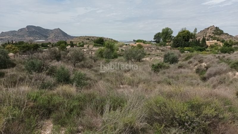Foto f59a076a-d628-4ed2-b5d4-916cdbae4b0f. Terreny residencial a Agost