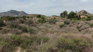 Terreny residencial  Verdegas