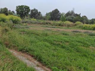 Terreno residenziale  Proc. simplificado