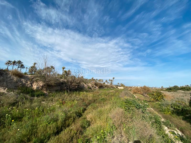 Foto 1e9766fc-d6cc-493c-a7dd-058f0dd8aa15. Gewerbliches grundstück in Algorós - El Derramador Elche / Elx