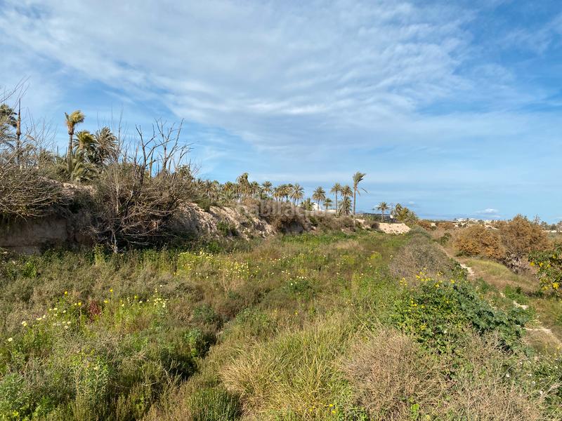 Foto d8aca5b6-aa7b-4f9c-be2f-fb37e4d3d5c6. Gewerbliches grundstück in Algorós - El Derramador Elche / Elx