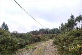 Terreno residenziale  16. parcela