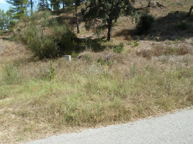 Foto 56cbdb84-5673-4cf6-87d1-253d1ad6f9e1. Terreny residencial a Riudecanyes