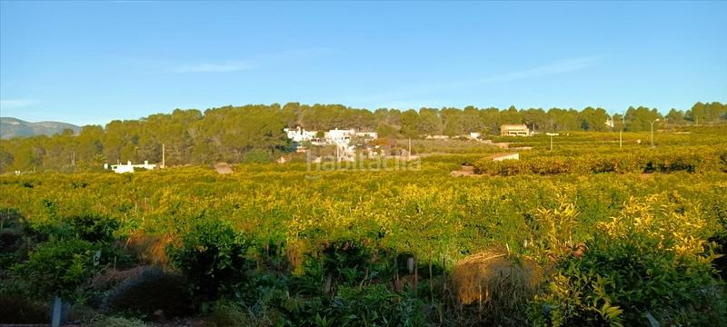 Foto 134e3b79-d56a-437a-b722-92a31b93740d. Residential plot in Torres Torres