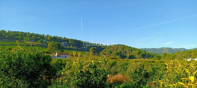 Foto 158adc70-fb97-4767-8205-8f5b933fadc3. Residential plot in Torres Torres