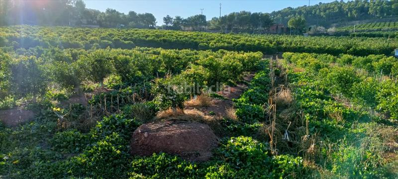 Foto 2bc09e97-b60a-4338-ac0a-0a2b763b22ec. Residential plot in Torres Torres