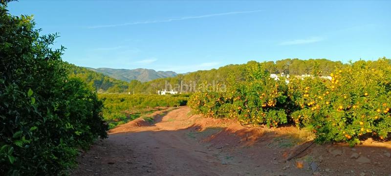 Foto 42b9c59b-9443-433e-b855-08c2b533893f. Residential plot in Torres Torres