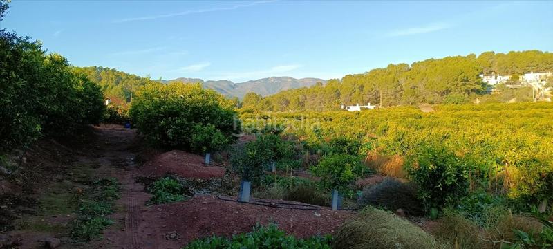 Foto 495e613d-0a6f-4b71-bf21-a6fa7054d21a. Residential plot in Torres Torres