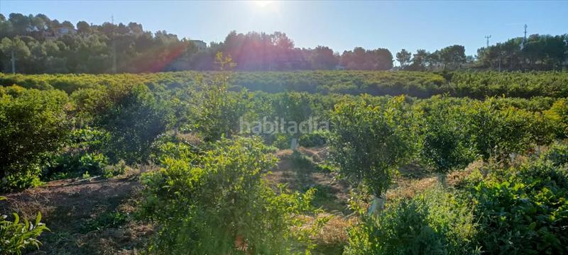 Foto 86871aa3-ab4d-4083-bb8b-26004c6409b0. Residential plot in Torres Torres