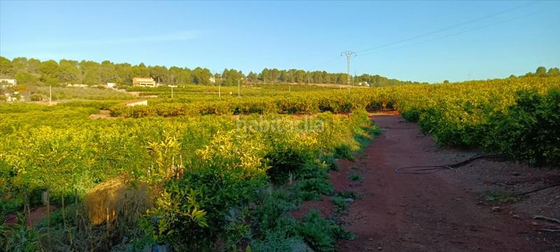 Foto 909c1abe-3309-4bc8-9eab-9d6c3345b836. Residential plot in Torres Torres