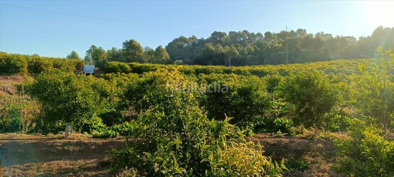 Foto c4a7b97d-2f77-4a72-bfba-fac979fe6a0d. Residential plot in Torres Torres