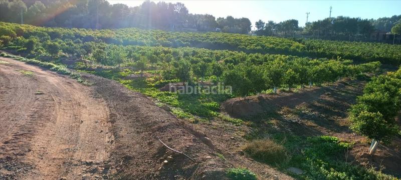 Foto cc9d72ae-cbfc-4e01-ba92-8162c38f01a8. Residential plot in Torres Torres