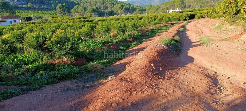 Foto 952ac52d-ecfc-4207-893b-ce50b09d9237. Wohngrundstück in Torres Torres