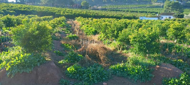 Foto a69dca0f-e77d-4ed3-81f5-b4e55048fad7. Wohngrundstück in Torres Torres