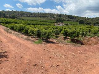 Terreny residencial  Quebranta