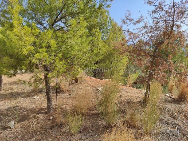 Foto 5d426791-fbc2-41ba-bcc6-2a9693d49432. Terreno residenziale in Altea la vella Altea