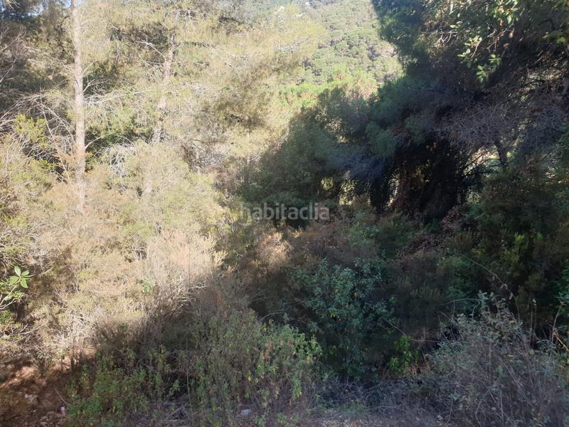 Foto 9372f014-45d7-4d35-8c16-6e0639615fd5. Residential plot in Serra Brava Lloret de Mar