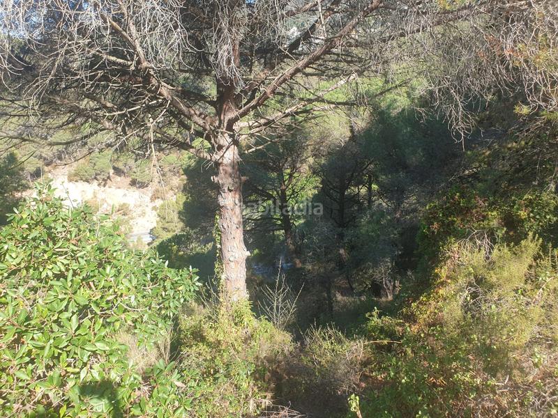 Foto e7596521-b531-4d21-b24b-809582be28e8. Residential plot in Serra Brava Lloret de Mar