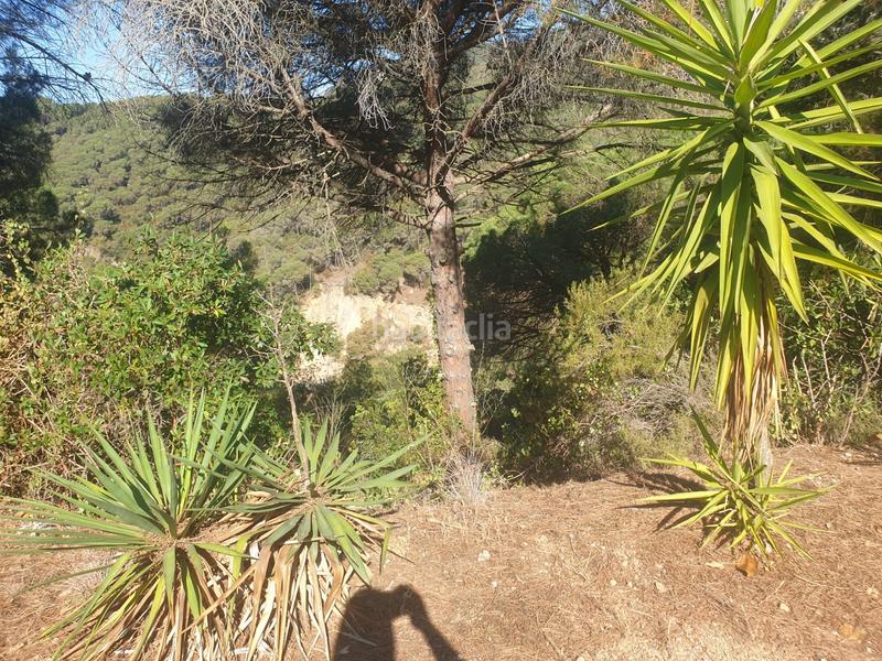 Foto f41c2686-2f8f-464e-83dc-939e4b3fa8b7. Residential plot in Serra Brava Lloret de Mar