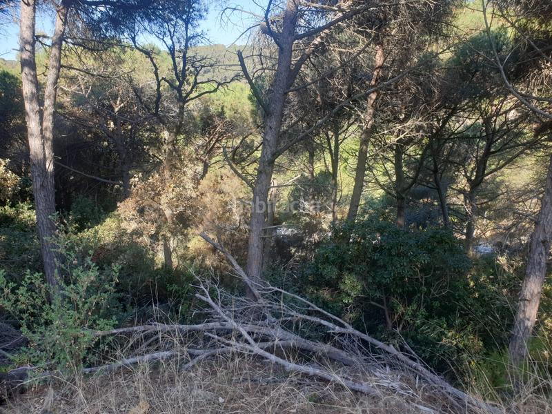 Foto 0ed5913b-67bb-45c0-88f9-da5dc28233b5. Wohngrundstück in Serra Brava Lloret de Mar