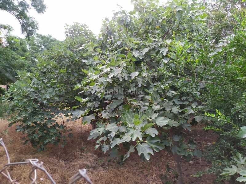 Foto 607035d4-29c2-41bd-848d-fbe1979dfbd2. Terreno residenziale in Barriomar-La Purísima Murcia