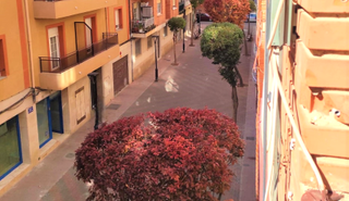 Piso  Maestro serrano