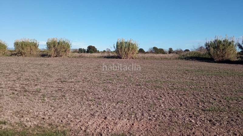 Foto eb06b865-d929-4770-aed3-69f4e8bb193a. Residential plot in Chilches