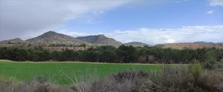 Residential Plot  Calle poligono 257 parcela 15