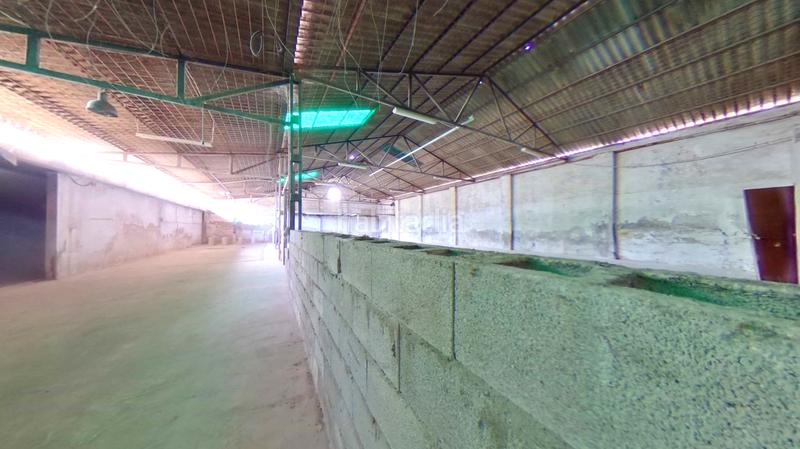 Foto 80fb58ba-c40e-4e99-bf4d-24bb3d250dd1. Bâtiment à usage industriel dans El Juncal - Vallealto Puerto de Santa María (El)