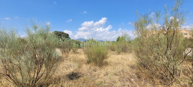 Foto e4340af7-ce1e-49d1-a4c5-0b37ea38250a. Terreno residencial en Escalona