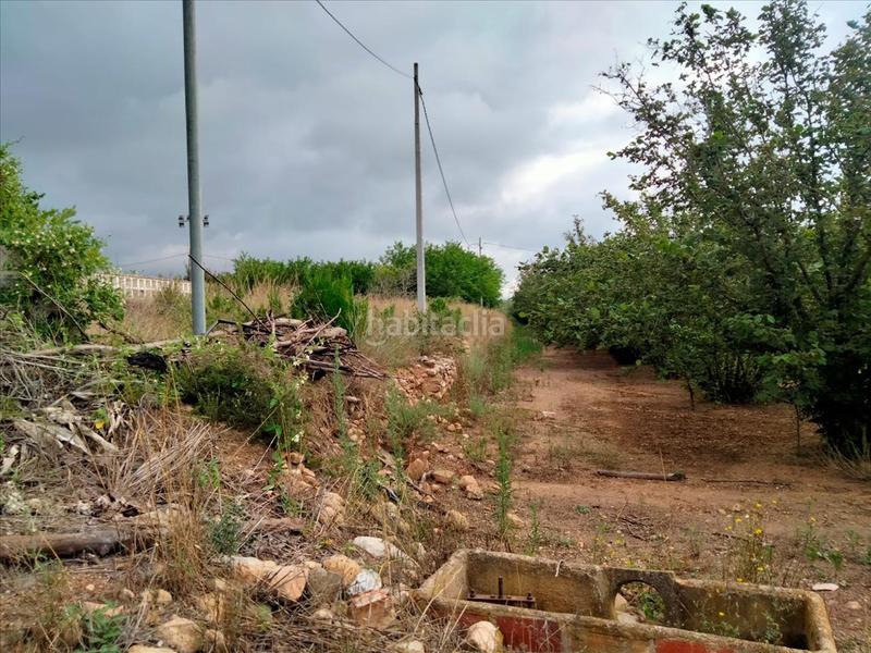 Foto 234ec4c2-55a2-4f3a-a873-cbea18778ea3. Terreno residencial en Vilallonga del Camp