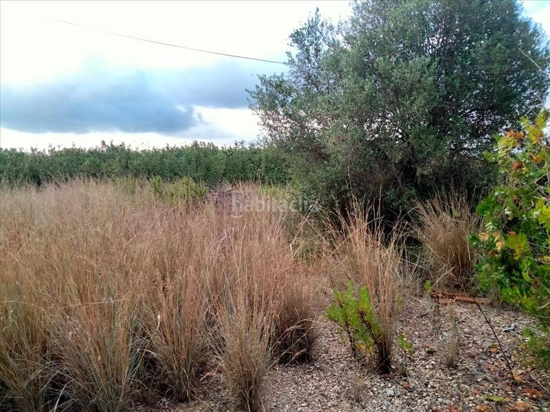 Foto 6cceebbb-ce7a-49ef-ac64-ccbc1ad70cee. Terreno residencial en Vilallonga del Camp