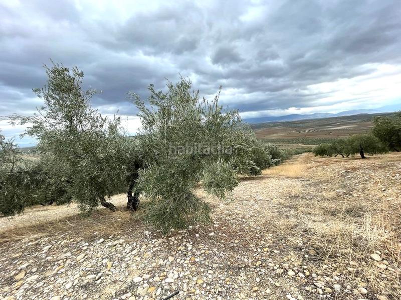 Foto 035cc200-bb7a-4a47-9388-05b70b777b71. Terreno residenziale in Puente Tablas - Puente Nuevo - Cerro Molina Jaén