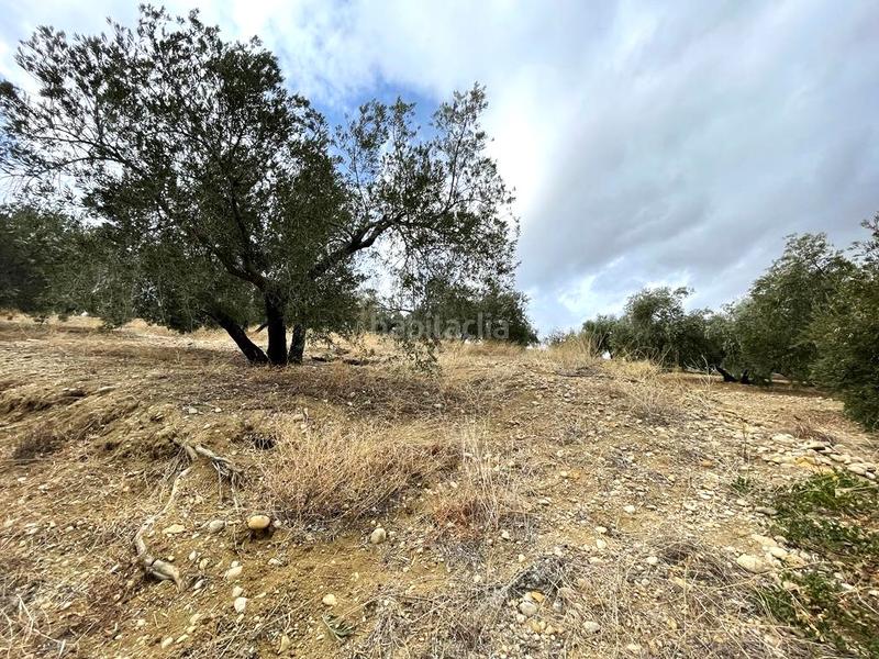 Foto 0c768f4a-3069-4edd-9bac-e4be724ed1b1. Terreno residenziale in Puente Tablas - Puente Nuevo - Cerro Molina Jaén