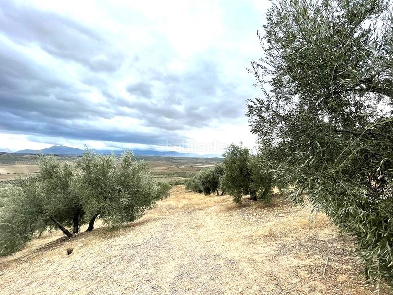 Foto 8032b8ba-2132-4111-9161-c8dbc2171b7a. Terreno residenziale in Puente Tablas - Puente Nuevo - Cerro Molina Jaén