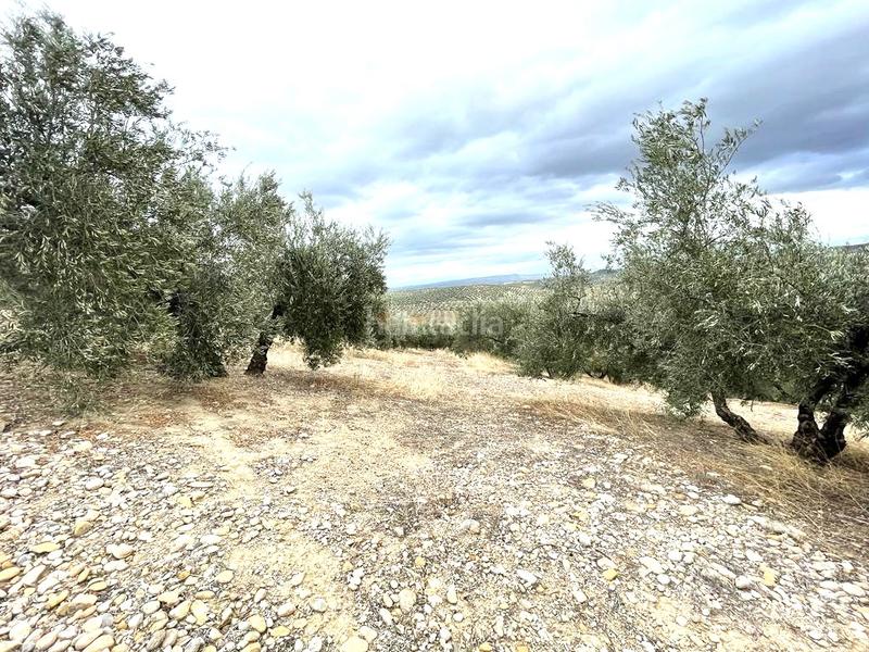 Foto 9efff419-358d-4509-aa7b-034258ead655. Terreno residenziale in Puente Tablas - Puente Nuevo - Cerro Molina Jaén