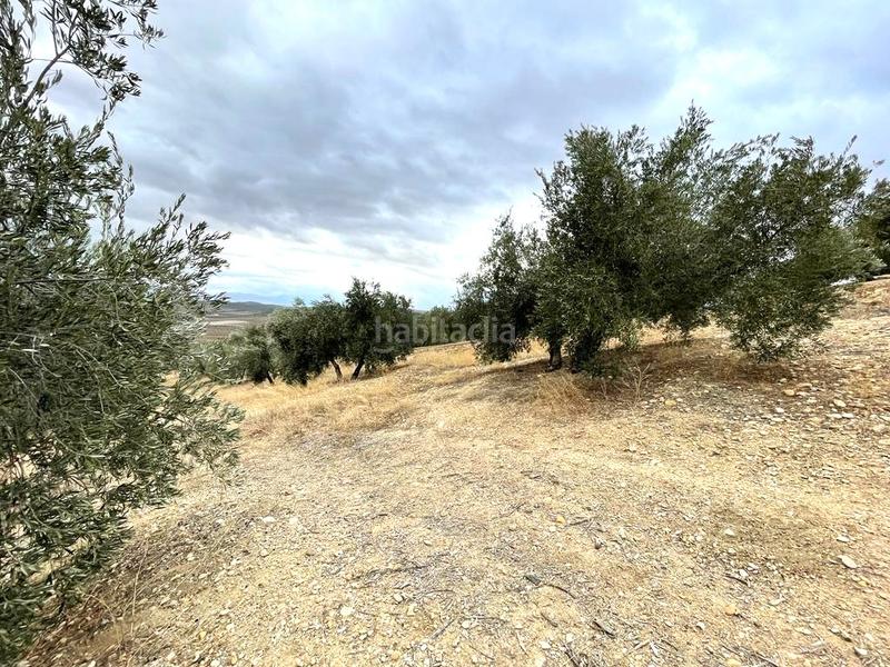Foto a5632a0e-bda4-4daf-a623-3fe973f70635. Terreno residenziale in Puente Tablas - Puente Nuevo - Cerro Molina Jaén