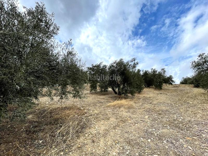 Foto ce0bfd7b-529b-461a-8ad1-6aff4e2e1288. Terreno residenziale in Puente Tablas - Puente Nuevo - Cerro Molina Jaén