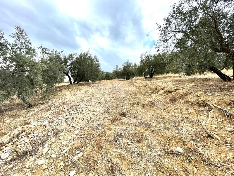 Foto 4a446c66-29e6-437d-b365-36aa5778484d. Wohngrundstück in Puente Tablas - Puente Nuevo - Cerro Molina Jaén