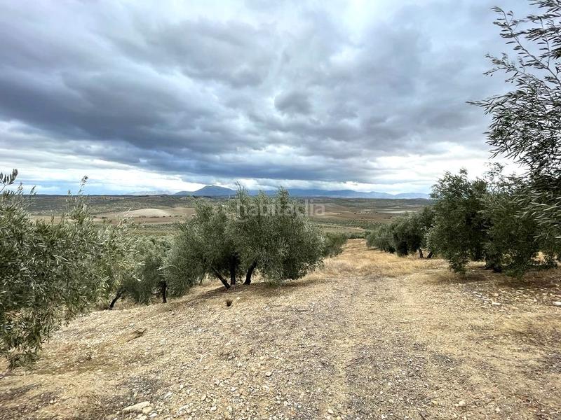 Foto 79c2451d-511e-408c-96c2-09af0e66404b. Wohngrundstück in Puente Tablas - Puente Nuevo - Cerro Molina Jaén