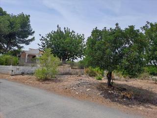 Terreny residencial  Poligono n-30.r