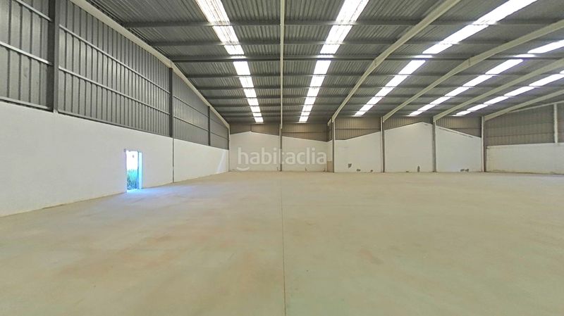 Foto ce8b3b1d-f472-4f04-8919-f63071f1d17e. Fabrikhalle in Ulldecona