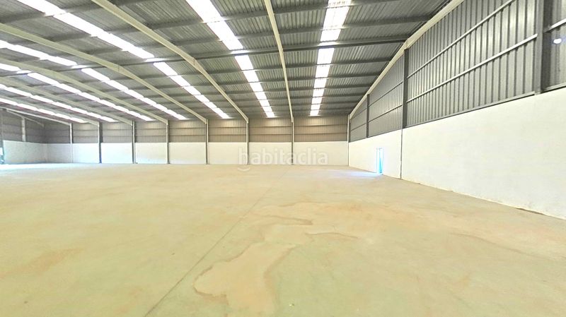 Foto ddb86f7a-75cd-4c4e-9297-8957d437700c. Fabrikhalle in Ulldecona