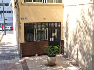Pis  Puerto de palos