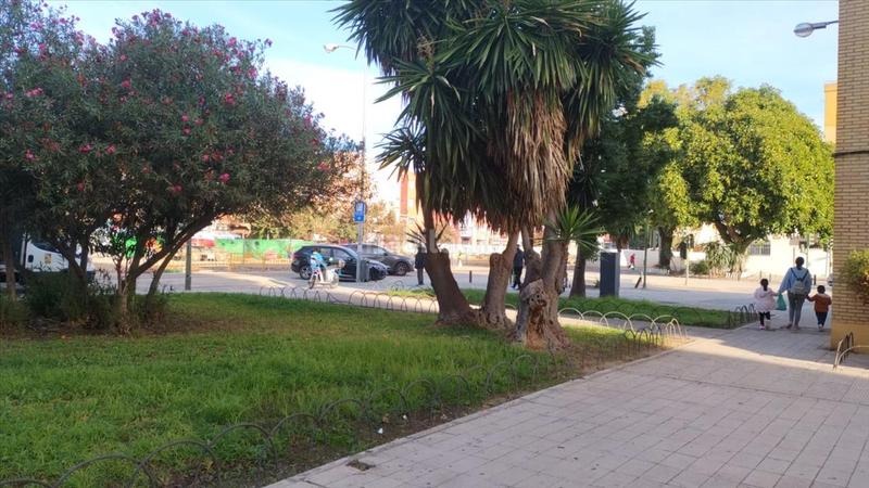 Foto 286672d7-c54b-4a3e-b45e-17650ec5a95e. Appartement dans Pino Montano - Consolación Sevilla