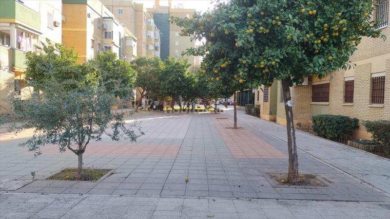 Foto e928d0e8-9601-48d6-acf9-d681d3fc5c9d. Etagenwohnung in Pino Montano - Consolación Sevilla