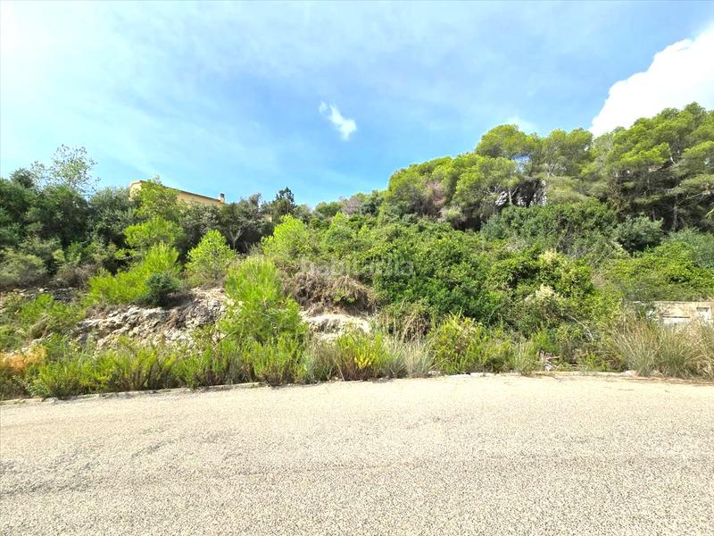 Foto 239926bc-1b95-4fd8-b542-f1a1334fcc2f. Terreno residencial en costa Cunit - els jardins - els rosers Cunit